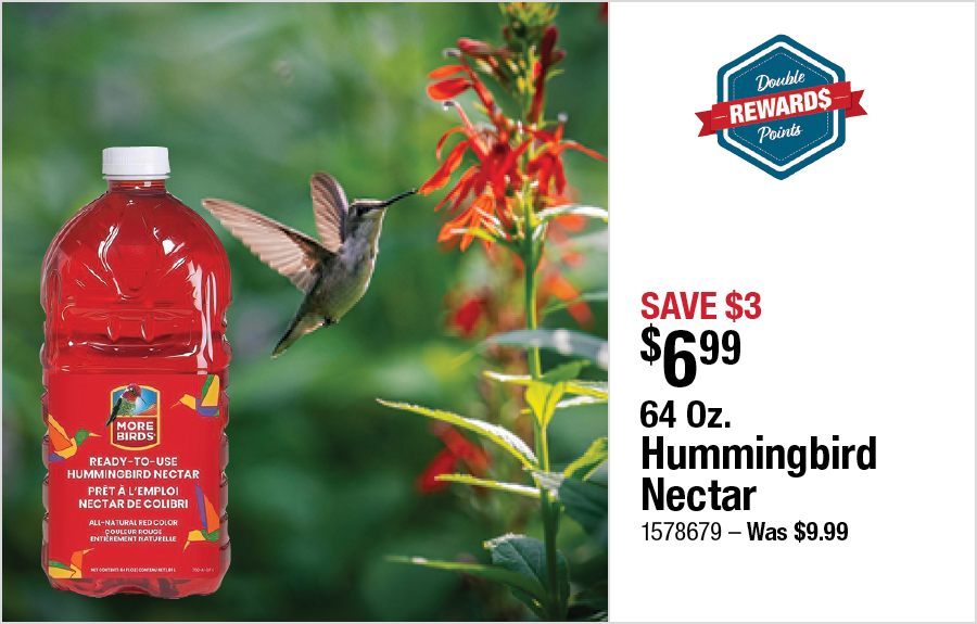 64 Oz. Hummingbird Nectar